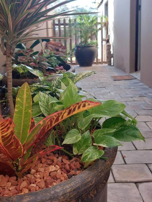 Hide Away On 21 Apartment Mossel Bay Exterior foto